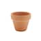 Clay Pot by Ashland&#xAE;